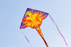 Simple Flyer 120 Phoenix