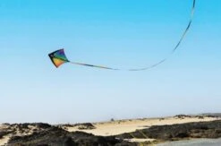 Sista -Günstiger Spielzeug Geschäft sista 2