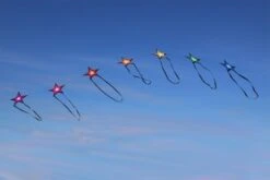 Brasington Southern Stars