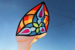 Carsten Domanns Starlight