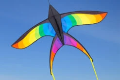 Swallow Kite Rainbow