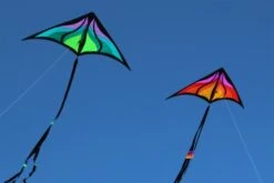 Brasington Taz Delta