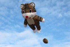 Small Tiger Kite -Günstiger Spielzeug Geschäft tigerbraun 1