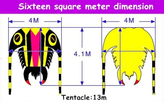 Trilobite Kite 16 6 Trilobite Kite 16 – Bild 4