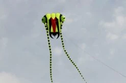 Trilobite Kite 2 -Günstiger Spielzeug Geschäft trilo2mgreenblack