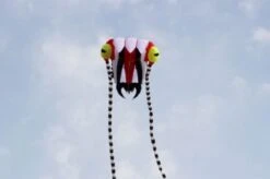 Trilobite Kite 2 -Günstiger Spielzeug Geschäft trilo2mred