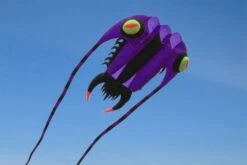 Trilobite Kite 7 -Günstiger Spielzeug Geschäft trilo710 purple