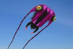 Trilobite Kite 10 10 Trilobite Kite 10 -Günstiger Spielzeug Geschäft trilo710 purple1