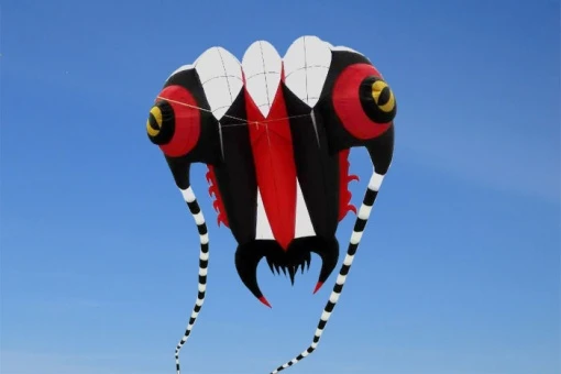 Trilobite Kite 10 4 Trilobite Kite 10 – Bild 2