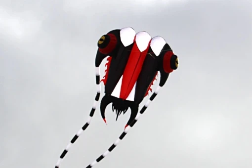 Trilobite Kite 16 4 Trilobite Kite 16 – Bild 2