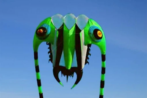 Trilobite Kite 10 8 Trilobite Kite 10 – Bild 6