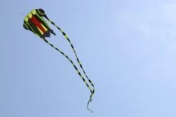 Trilobite Kite Mini -Günstiger Spielzeug Geschäft trilobite1 gruenschwarz1 1