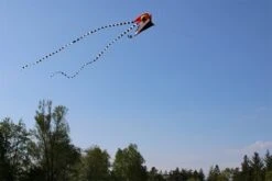 Trilobite Kite Mini -Günstiger Spielzeug Geschäft trilobite1 rot 3