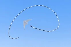 Tube Tail Black & White Gradient