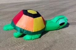 Bouncing Turtle