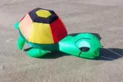 Günstiger Spielzeug Geschäft -Günstiger Spielzeug Geschäft turtle 2