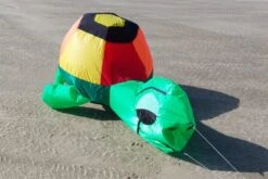 Bouncing Turtle -Günstiger Spielzeug Geschäft turtle 3