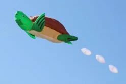 Turtle 5m -Günstiger Spielzeug Geschäft turtle green 1