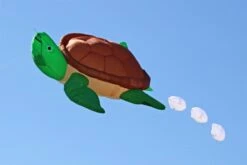Turtle 5m