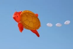 Turtle 5m -Günstiger Spielzeug Geschäft turtle orange 1