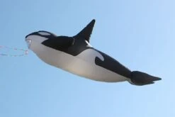 Wal5m -Günstiger Spielzeug Geschäft wal5m3