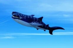 Peter Lynn Workshop Whale Shark Kit -Günstiger Spielzeug Geschäft whaleshark 1