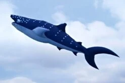 Peter Lynn Workshop Whale Shark Kit -Günstiger Spielzeug Geschäft whaleshark 2