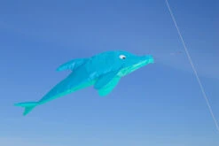Windsack Dolphin