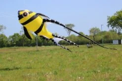 Cardinal Fish 7m 10 Cardinal Fish 7m -Günstiger Spielzeug Geschäft yellow cardinal2