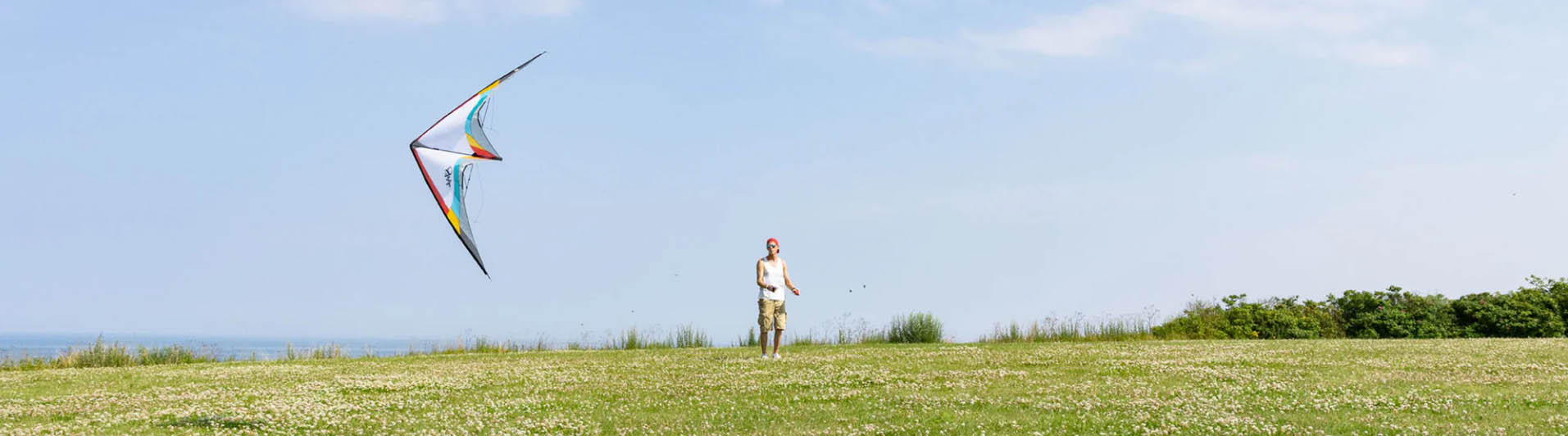Günstiger Spielzeug Geschäft -Günstiger Spielzeug Geschäft DFDF